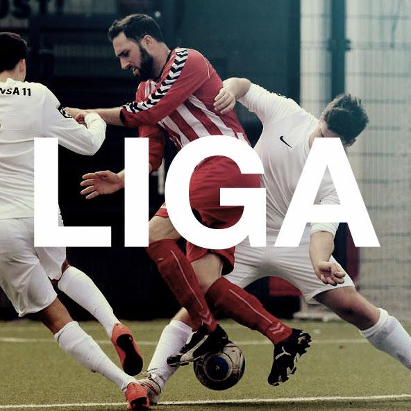 Liga